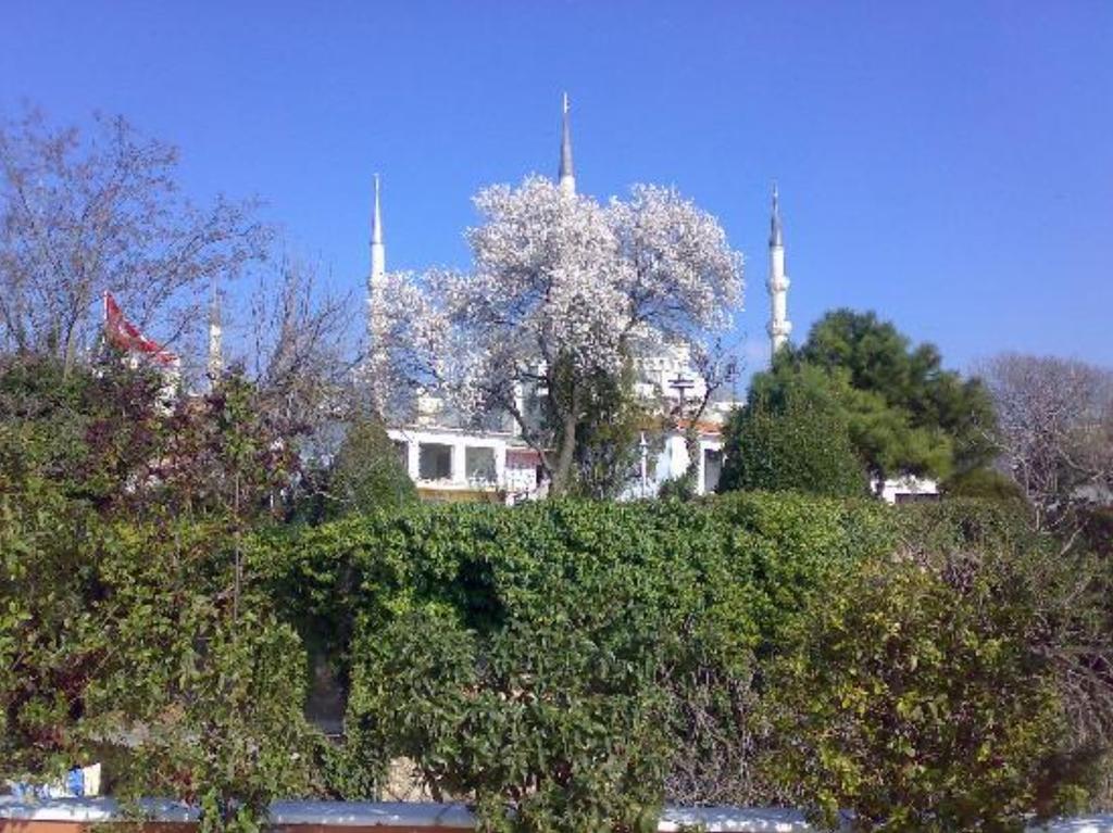 Hotel Tashkonak Istambul Exterior foto